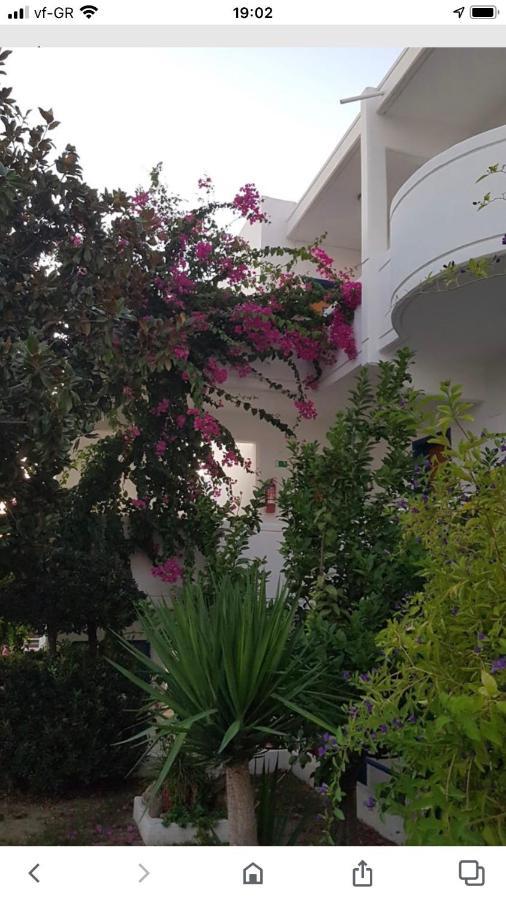 Danae Hotel Faliraki Exterior photo